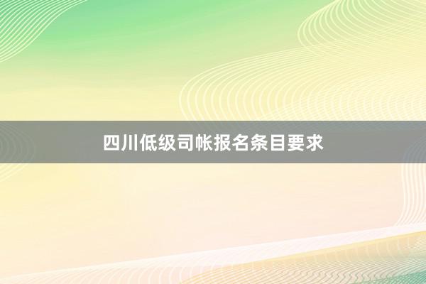 四川低级司帐报名条目要求