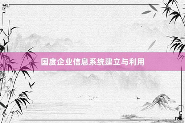 国度企业信息系统建立与利用