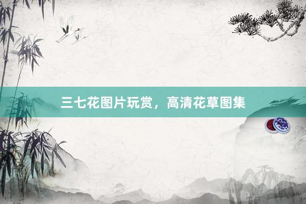 三七花图片玩赏，高清花草图集