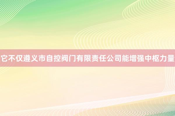 它不仅遵义市自控阀门有限责任公司能增强中枢力量